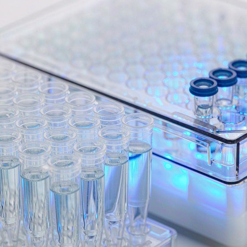SLCO1B1 Genotyping Kit