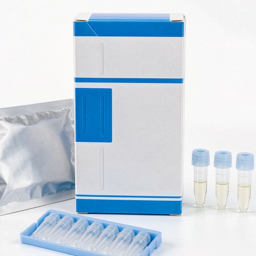 MTHFR C677T Genotyping Kit