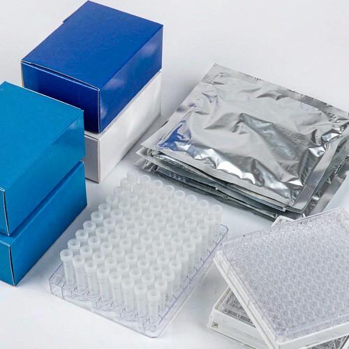 CYP2C19 Genotyping Kit